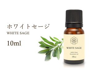 yXIXXz zCgZ[W GbZVIC y򉻁z White Sage 100Natural zCgZ[W w Salvia apiana A}IC