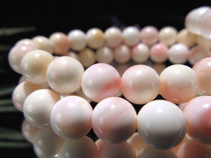 楽天市場】クイーンコンク貝 丸珠ブレスレット 恋のお守り 天然  