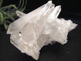 世界三大水晶の鉱山のひとつ 純粋と浄化を象徴する万能ストーン 1点物 極上結晶 アーカンソー州産 水晶 クラスター ギャランティーカード付き