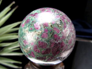 yXꉟIz N₩2F̔F ƏM̃p[Xg[ r[ C tbNTCg ۋ u