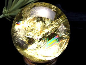 yIXXIz 僌C{[I ^̑㖼 11̒a ɂI Vg yz ۋ