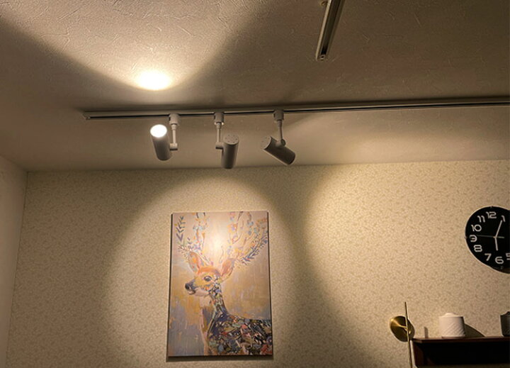楽天市場 スポットライト Led一体型 電源内蔵 ライティングレール専用 レールライト 電球色1100lm 1灯 ビーム角度24 60 ダクトレール用照明 Led 一体式 おしゃれ照明 スポット照明 ダイニング 間接照明 ブラック 黒 ホワイト 白 照明器具 ヒカリ屋の照明ライト