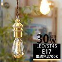 LED電球 E17 30w形 415lm 電球色2700K ナス型 エジソンバルブ エジソン電球 ST45 電球 エジソンランプ フィラメント エコ 節電 アンバーガラス