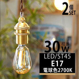 【2個セット】LED電球 E17 30w形 エジソンバルブ エジソン球 ST45 電球 エジソンランプ フィラメント LED エコ 節電 アンバーガラス電球 電球色2700K
