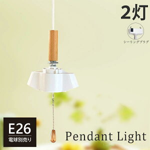 y_gCg 2 E26 \Pbg vXCb` Ɩ VƖ 80cm R[h R[hZbg R[ht |V[O VF[h LED R Ɩ v CeA Q led