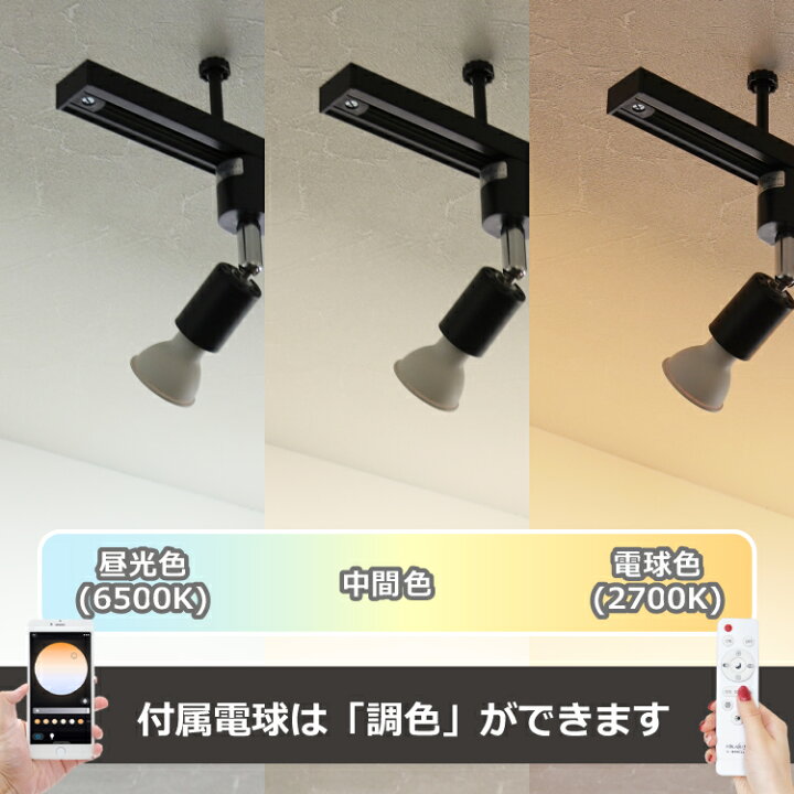 楽天市場】【RAIL-spotlight 調光調色電球付】 光ノ屋Smart スポット 