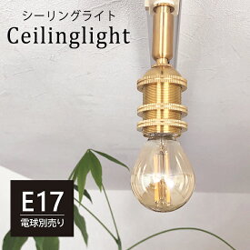 シーリングライト 1灯 E17 真鍮 シーリングプラグ用 小型スポットライト 可動 照明器具 天井照明 インテリア アンティーク レトロ シンプル おしゃれ 玄関用 トイレ LED対応 金