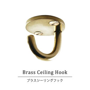 uXV[OtbN AXCIS axcis ^J S[h 