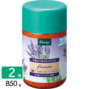 y}\JÒIz ()NiCvWp NiCv oX\g x_[  850g×2Zbg