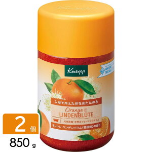 y}\JÒIz ()NiCvWp NiCv oX\g IW  850g×2Zbg