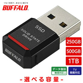 BUFFALO 外付けSSD ポータブル USB3.2 Gen2 小型 TV録画対応 ブラック SSD-PSTU3BA/D 250GB/500GB/1TB