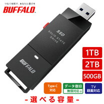 楽天市場】バッファロー スティック型ssdの通販 