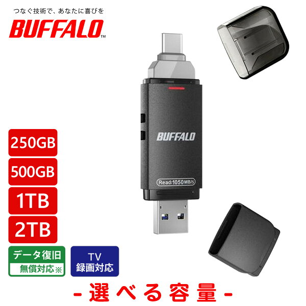 BUFFALO バッファロー  外付けSSD スティック型 Type-C/Aコネクター両対応 高速帯  SSD-SDHU3BA/D 250GB/500GB/1TB/2TB PC スマホ データ移行 ゲーム【PS5/PS4動作確認済】 TV録画対応 送料無料