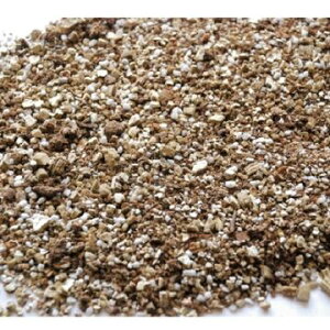 楽天市場 有限会社 エイムクリエイツ Green Labo Dog Cat Grass Soil 犬と猫が好きな草の栽培用土 3l ひかりtvショッピング 楽天市場店