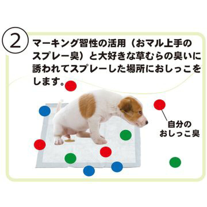 市場 トーラス 100ml 猫用 マーキングお断り しつけ用品 濃縮スプレー 犬 いたずら防止 しつけ用スプレー お外のしつけ