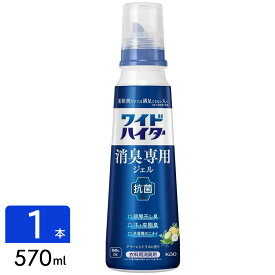 花王 ワイドハイター 消臭専用ジェル グリーンシトラスの香り 本体 570ml