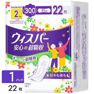 EBXp[ S̒z zPA Apbh AƂpbh 300cc 22