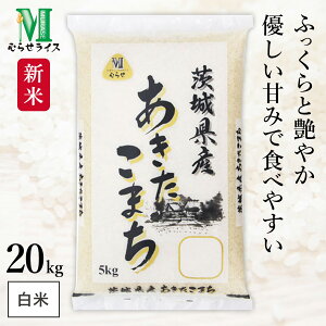 V ߘa7NY 錧Y ܂ 20kg(5kg×4) ނ点 HACCPF̍iǗ    R 