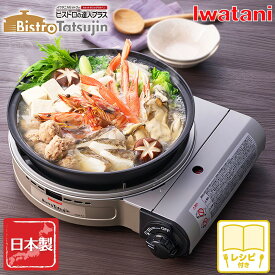 【お買い物マラソン開催中！】 岩谷産業 【即納】 1台6役 マルチパン カセットフー ビストロの達人プラス 深型グリルパン付 シルバー色 レシピ付 防災 カセットこんろ イワタニ 送料無料 CB-BST-PLS