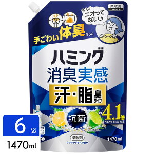 ԉ n~OL _ EL^Cv VgX 1470ml×6 e 4901301450425