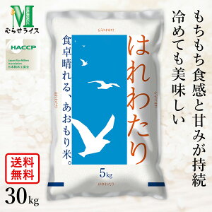 ߘa6NY XY ͂킽 5kg 10kg 20kg 30kg ނ点CX HACCPF̍iǗ XY̐V S肪Ȃ߂炩Ȍ    R yȂ烌r[T