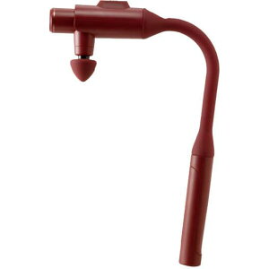 AebNX hKvXA[ bh V[YŌy }bT[WK A^b`g4 hV̓ v[g AX-HX450rd