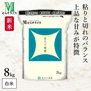 yX[p[SALEJÒIz V XY V 8kg(2kg×4) ߘa7NY ނ点CX HACCPF̍iǗ Wbp[tŕۑɕ֗    R 