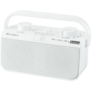 yX[p[SALEJÒIz  AUREX@I[bNX@erpXs[J[@CX@@XeI@hHdl AX-WST21(W)