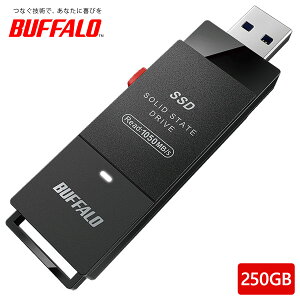 BUFFALO USB3.2�iGen2�j�Ή� TV�^�� �X�e�B�b�NSSD 250GB �u���b�N USB Type-C�R�l�N�^�t�� SSD-SCH250U3BA/D