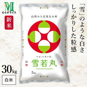 V R`Y  ߘa7NY 30kg(5kg×6) ނ点CX HACCPF̍iǗ    R 