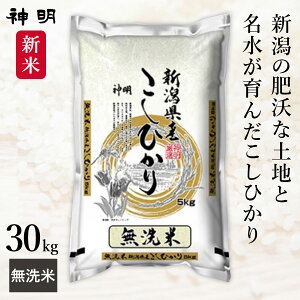 神明 令和7年産 新潟県産 コシヒカリ 5kg 10kg 20kg 30kg 白米 精米 無洗米 お米 コメ 送料無料