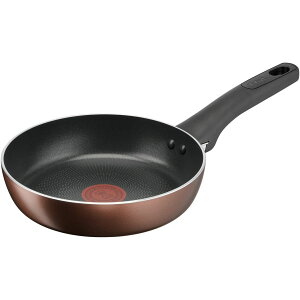 ティファール T-fal IHチタンエクセレンス フライパン 20cm ガス火IH対応 食洗器対応 G17202