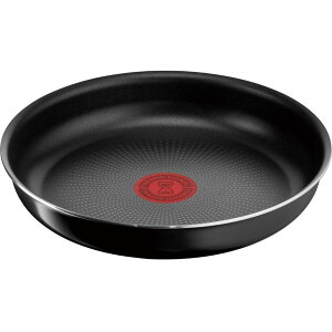 eBt@[ T-fal CWjIlI n[h`^jECeX tCp 22cm KXΐp L43803