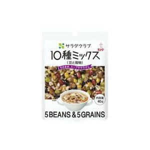 L[s[ T_Nu10~bNXƍ 40g x 10