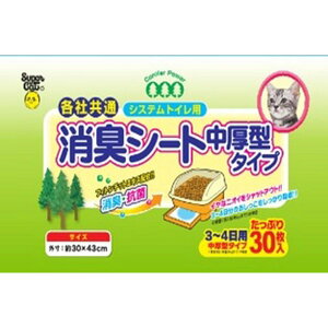 X[p[Lbg VXegCp LV[g ^^Cv3]4p 30×12