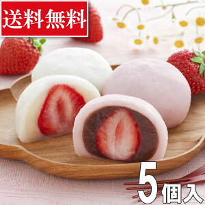 yⓀzs {V ܂ ܂邲䕑啟 5 Mtg  XC[c ̓