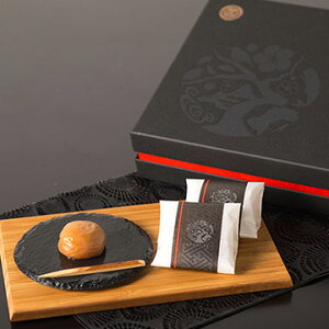 ōIB썂~4LTCY20500gȏ 10̂тɂ悭t 