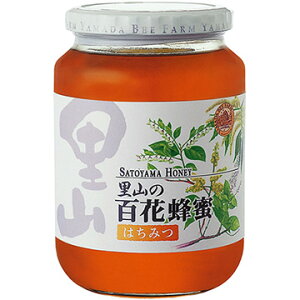 Rc{I R̕SԖI 1kg