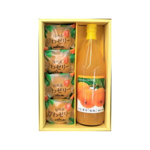 道の駅とみうら 房州産びわゼリー&のむ果実枇杷