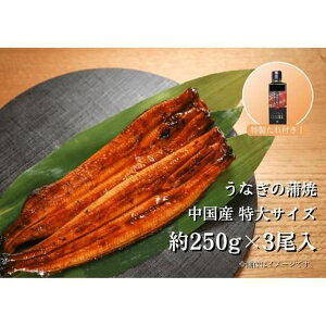 yⓀzYTCY Ȃ250g×3{+^ Mtg(Oet[)