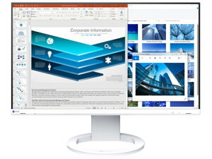 EIZO tfBXvC 23.8^/1920×1080/zCg EV2480-ZWT