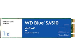 WESTERN DIGITAL(SSD) WD Blue SA510 M.2 SSD 1TB WDS100T3B0B 0718037-884707