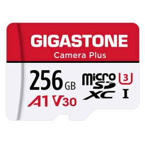 Gigastone microSDXC�J�[�h 256GB UHS-I U1 A1 GJMX-256GA1U3R