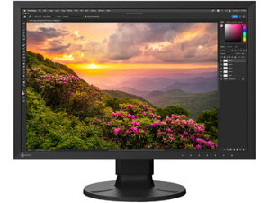 EIZO tfBXvC 24.1^/1920×1200/ubN CS2400S-BK