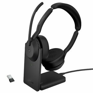 GN�I�[�f�B�I Evolve2 55 MS Stereo Stand 25599-999-989