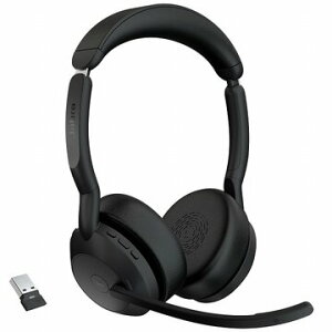 GN�I�[�f�B�I Evolve2 55 MS Stereo 25599-999-999