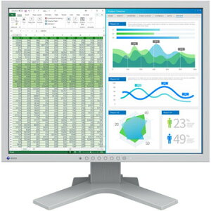 EIZO tfBXvC 21.3^/1600×1200/OC S2134-HGY