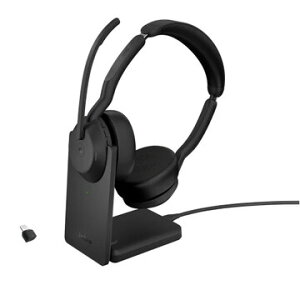 GN�I�[�f�B�I Evolve2 55 Link380c/390c MS StereoStand 25599-999-889