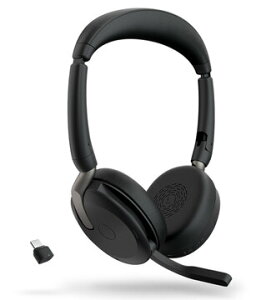 GNI[fBI Evolve2 65 Flex Link380c/390c UC Stereo 26699-989-899