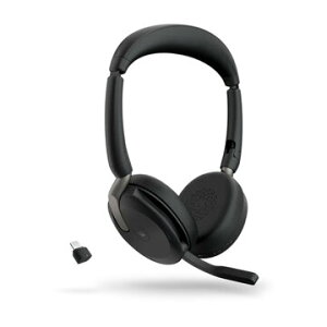 GN�I�[�f�B�I Evolve2 65 Flex Link380c/390c MS Stereo 26699-999-899